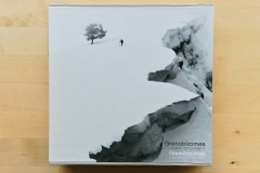 Grenoblicimes, conjuguer la montagne